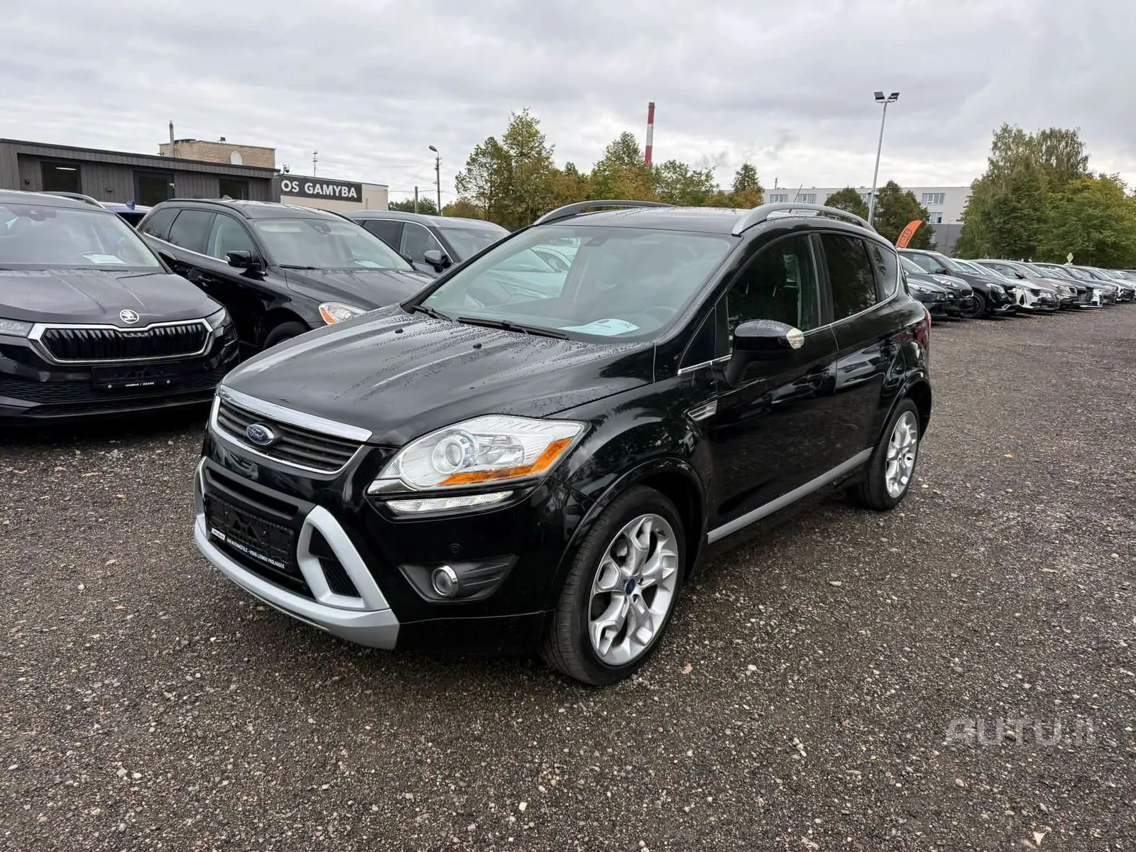 Ford Kuga