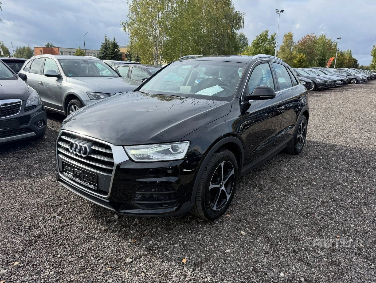 Audi Q3 — nuotrauka 3
