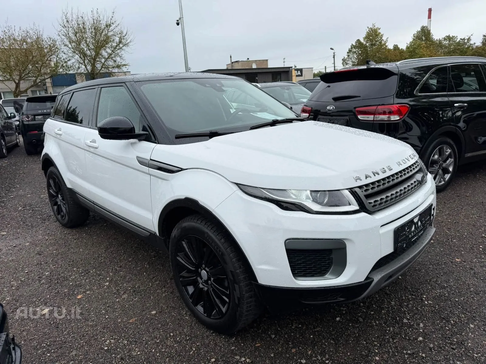 Land Rover Evoque — nuotrauka 2